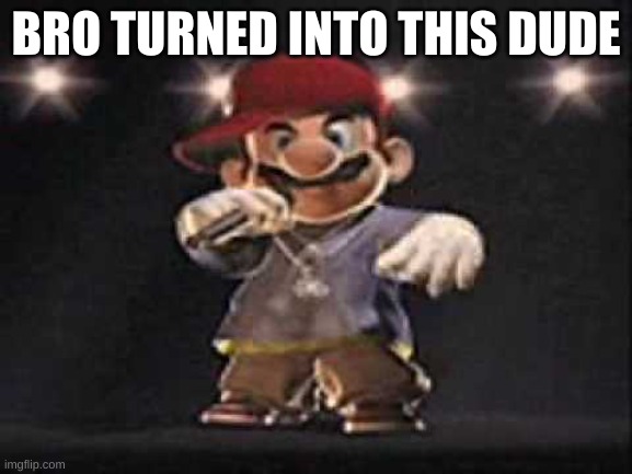 Gangsta Mario | BRO TURNED INTO THIS DUDE | image tagged in gangsta mario | made w/ Imgflip meme maker