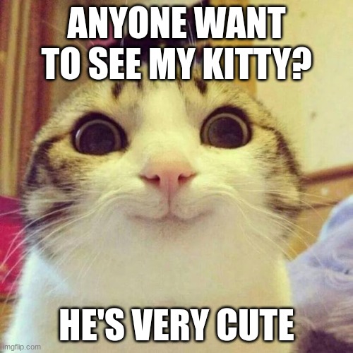 Smiling Cat Meme | ANYONE WANT TO SEE MY KITTY? HE'S VERY CUTE | image tagged in memes,smiling cat | made w/ Imgflip meme maker