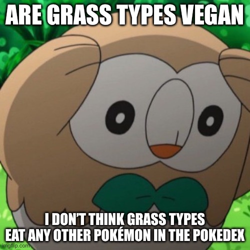 Rowlet | ARE GRASS TYPES VEGAN; I DON’T THINK GRASS TYPES EAT ANY OTHER POKÉMON IN THE POKEDEX | image tagged in rowlet meme template | made w/ Imgflip meme maker