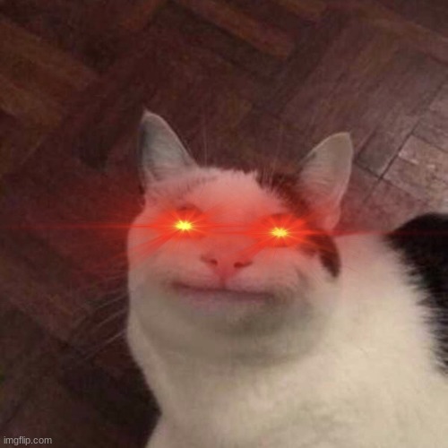 Laser Cat | image tagged in laser cat | made w/ Imgflip meme maker
