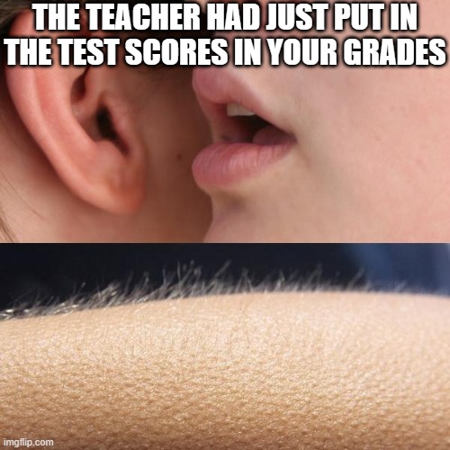 oh no | THE TEACHER HAD JUST PUT IN THE TEST SCORES IN YOUR GRADES | image tagged in whisper and goosebumps,school memes,relatable memes | made w/ Imgflip meme maker