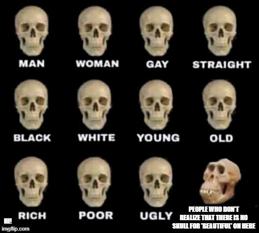 idiot skull | PEOPLE WHO DON'T REALIZE THAT THERE IS NO SKULL FOR 'BEAUTIFUL' ON HERE; HI! | image tagged in idiot skull,haha | made w/ Imgflip meme maker