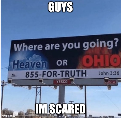 Heaven or Ohio | GUYS; IM SCARED | image tagged in heaven or ohio | made w/ Imgflip meme maker