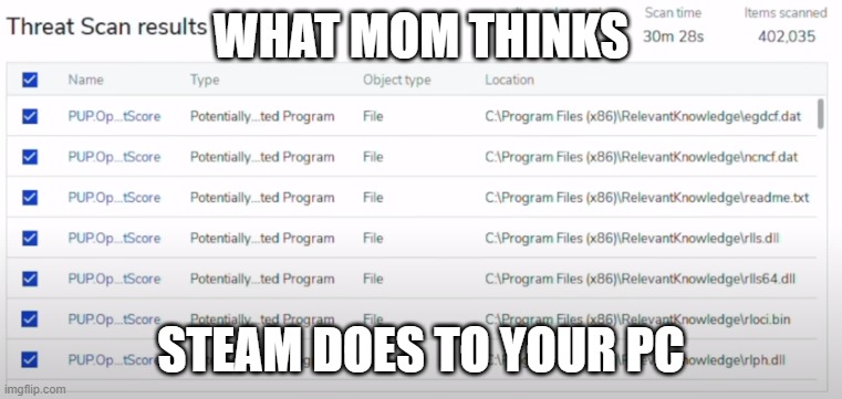 WHAT MOM THINKS; STEAM DOES TO YOUR PC | made w/ Imgflip meme maker