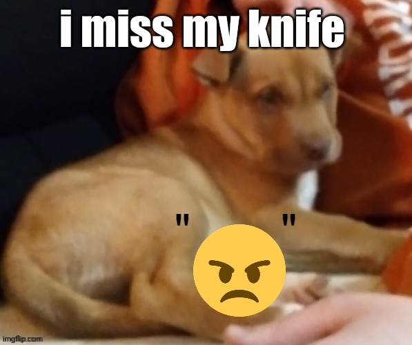 wah | i miss my knife | image tagged in ty pogchamp | made w/ Imgflip meme maker