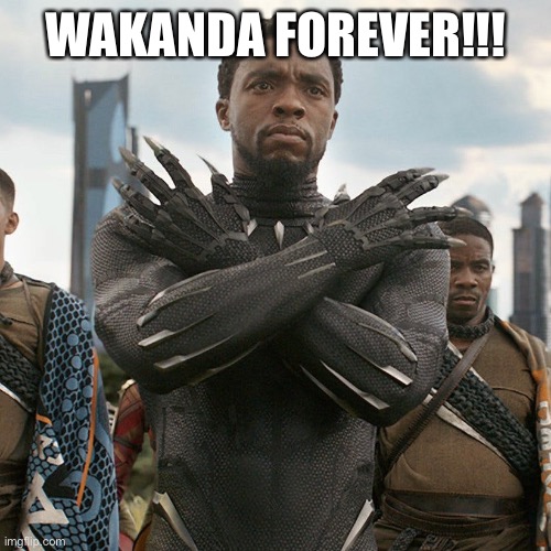 Wakanda Forever | WAKANDA FOREVER!!! | image tagged in wakanda forever | made w/ Imgflip meme maker