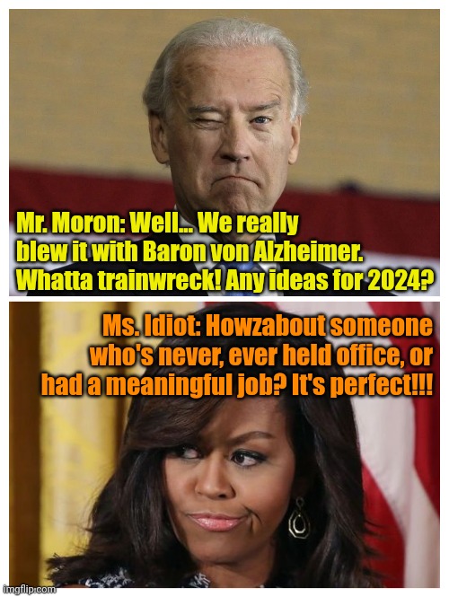 Deep inside the bowels of the DNC think tank... | Mr. Moron: Well... We really blew it with Baron von Alzheimer. Whatta trainwreck! Any ideas for 2024? Ms. Idiot: Howzabout someone who's never, ever held office, or had a meaningful job? It's perfect!!! | made w/ Imgflip meme maker