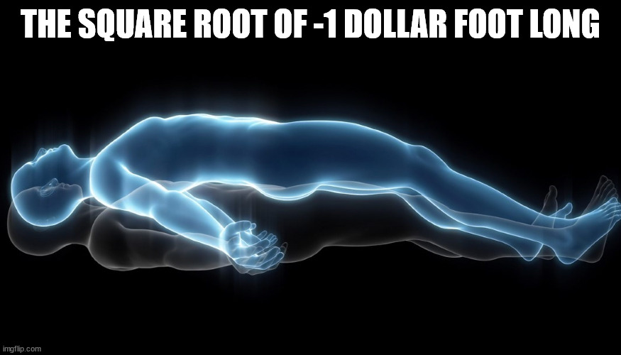 Soul leaving body | THE SQUARE ROOT OF -1 DOLLAR FOOT LONG | image tagged in soul leaving body | made w/ Imgflip meme maker
