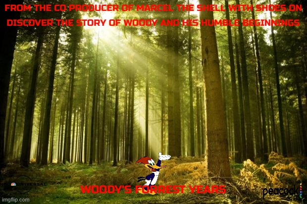 tv shows that will never see the light of day part 2 | FROM THE CO PRODUCER OF MARCEL THE SHELL WITH SHOES ON; DISCOVER THE STORY OF WOODY AND HIS HUMBLE BEGINNINGS; WOODY'S FORREST YEARS | image tagged in sunlit forest,universal studios,woody woodpecker,prequels,fake,streaming | made w/ Imgflip meme maker