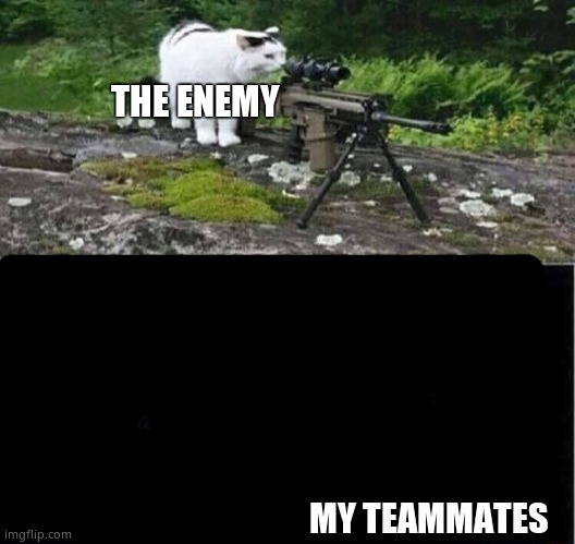 Sniper cat | THE ENEMY MY TEAMMATES | image tagged in sniper cat | made w/ Imgflip meme maker