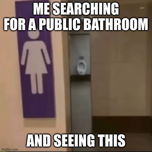 POV: The women's bathroom | ME SEARCHING FOR A PUBLIC BATHROOM; AND SEEING THIS | image tagged in bathroom,funny,memes,pov,public bathrooms,meme | made w/ Imgflip meme maker