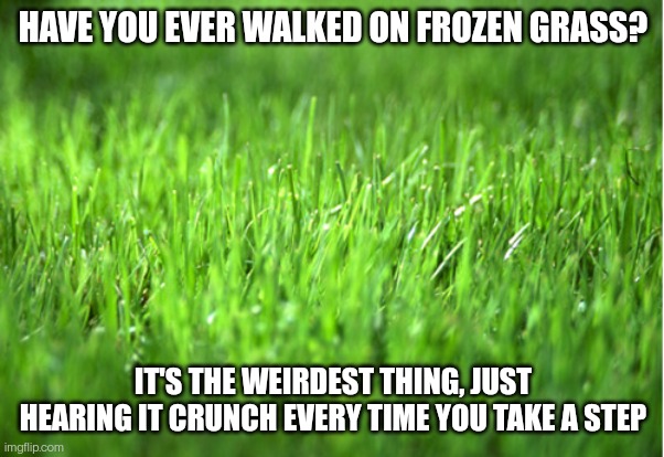 Where I am pretty much everything is frozen, no snow, just ice | HAVE YOU EVER WALKED ON FROZEN GRASS? IT'S THE WEIRDEST THING, JUST HEARING IT CRUNCH EVERY TIME YOU TAKE A STEP | image tagged in grass is greener | made w/ Imgflip meme maker