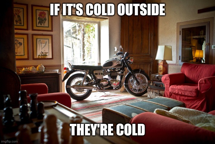 Bring them in | IF IT'S COLD OUTSIDE; THEY'RE COLD | image tagged in motorcycle,winter is here,snow | made w/ Imgflip meme maker