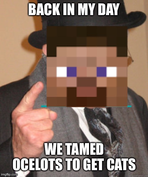 Back In My Day | BACK IN MY DAY; WE TAMED OCELOTS TO GET CATS | image tagged in memes,back in my day | made w/ Imgflip meme maker