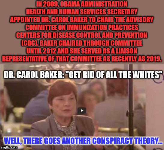 Well, there goes another conspiracy theory... | IN 2009, OBAMA ADMINISTRATION HEALTH AND HUMAN SERVICES SECRETARY APPOINTED DR. CAROL BAKER TO CHAIR THE ADVISORY COMMITTEE ON IMMUNIZATION PRACTICES CENTERS FOR DISEASE CONTROL AND PREVENTION (CDC). BAKER CHAIRED THROUGH COMMITTEE UNTIL 2012 AND SHE SERVED AS A LIAISON REPRESENTATIVE OF THAT COMMITTEE AS RECENTLY AS 2019. DR. CAROL BAKER: "GET RID OF ALL THE WHITES"; WELL, THERE GOES ANOTHER CONSPIRACY THEORY... | image tagged in obey,criminal,government,big pharma | made w/ Imgflip meme maker