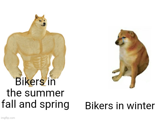 We just stay inside on the couch | Bikers in the summer fall and spring; Bikers in winter | image tagged in memes,buff doge vs cheems,bikers | made w/ Imgflip meme maker