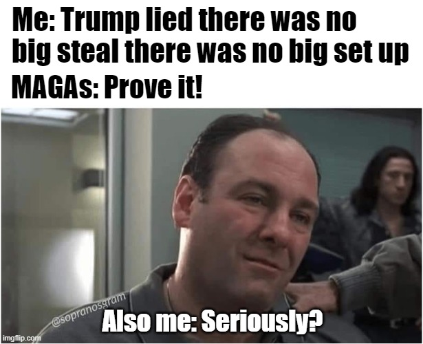 Shifting the Burden | Me: Trump lied there was no big steal there was no big set up; MAGAs: Prove it! Also me: Seriously? | image tagged in james gandolfini,tony soprano,president trump,election fraud,big steal,big set up | made w/ Imgflip meme maker