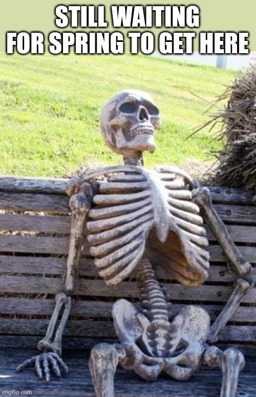 So I can ride my bike | STILL WAITING FOR SPRING TO GET HERE | image tagged in memes,waiting skeleton,biker,motorcycle | made w/ Imgflip meme maker