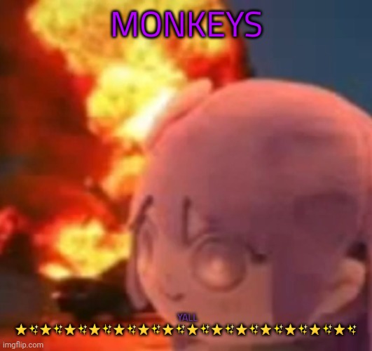 msmg | MONKEYS; YALL ⭐✨⭐✨⭐✨⭐✨⭐✨⭐✨⭐✨⭐✨⭐✨⭐✨⭐✨⭐✨⭐✨⭐✨ | image tagged in msmg | made w/ Imgflip meme maker