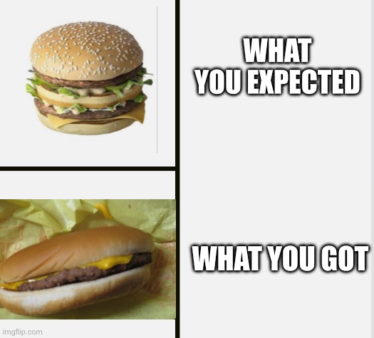 hamburger | WHAT YOU EXPECTED; WHAT YOU GOT | image tagged in hamburger,burger | made w/ Imgflip meme maker