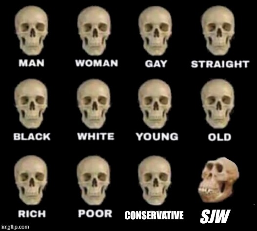 idiot skull | SJW; CONSERVATIVE | image tagged in idiot skull | made w/ Imgflip meme maker