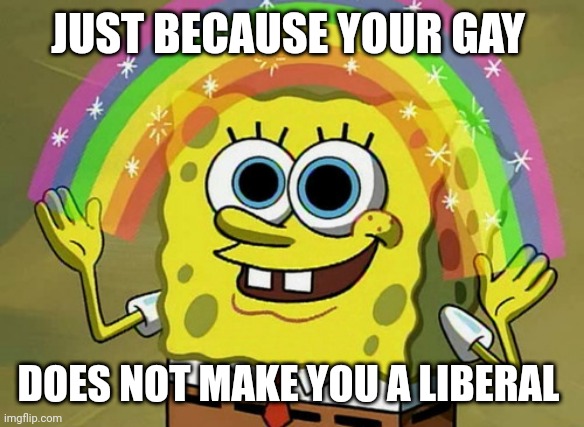 Imagination Spongebob | JUST BECAUSE YOUR GAY; DOES NOT MAKE YOU A LIBERAL | image tagged in memes,imagination spongebob | made w/ Imgflip meme maker