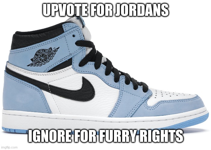 UPVOTE FOR JORDANS; IGNORE FOR FURRY RIGHTS | made w/ Imgflip meme maker