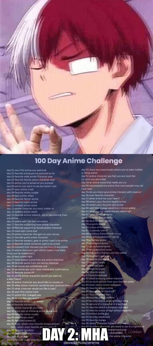 DAY 2: MHA | image tagged in todoroki,100 day anime challenge | made w/ Imgflip meme maker