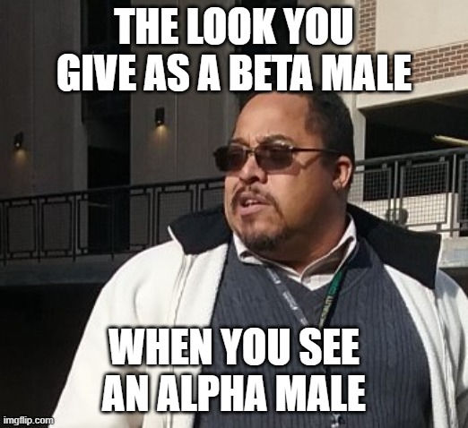 Matthew Thompson | THE LOOK YOU GIVE AS A BETA MALE; WHEN YOU SEE AN ALPHA MALE | image tagged in matthew thompson,reynolds community college,alpha male,beta male,social status,funny | made w/ Imgflip meme maker