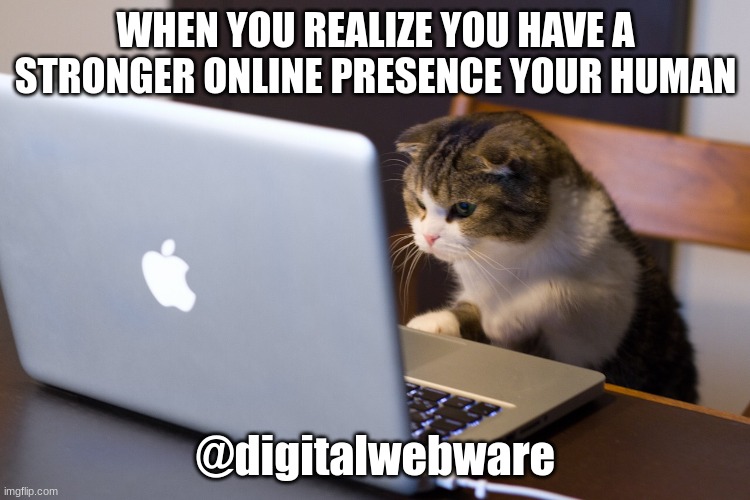 Cats rule the internet | WHEN YOU REALIZE YOU HAVE A STRONGER ONLINE PRESENCE YOUR HUMAN; @digitalwebware | image tagged in cat on computer | made w/ Imgflip meme maker