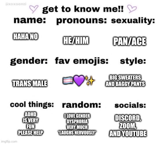 yum gender dysphoria | PAN/ACE; HE/HIM; HAHA NO; 🏳️‍⚧️💜✨; TRANS MALE; BIG SWEATERS AND BAGGY PANTS; ADHD IS VERY FUN PLEASE HELP; I LOVE GENDER DYSPHORIA VERY MUCH *LAUGHS NERVOUSLY*; DISCORD, ZOOM, AND YOUTUBE | image tagged in get to know me | made w/ Imgflip meme maker