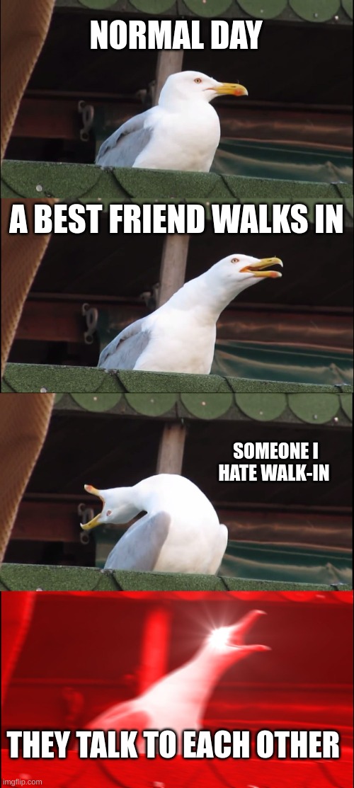 whye | NORMAL DAY; A BEST FRIEND WALKS IN; SOMEONE I HATE WALK-IN; THEY TALK TO EACH OTHER | image tagged in memes,inhaling seagull | made w/ Imgflip meme maker