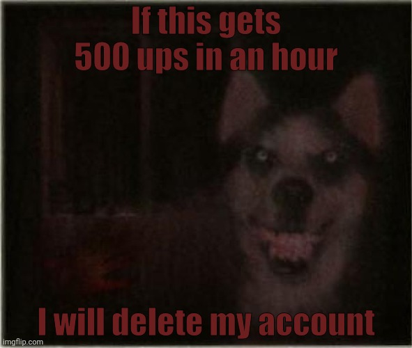 smile dog | If this gets 500 ups in an hour; I will delete my account | image tagged in smile dog | made w/ Imgflip meme maker