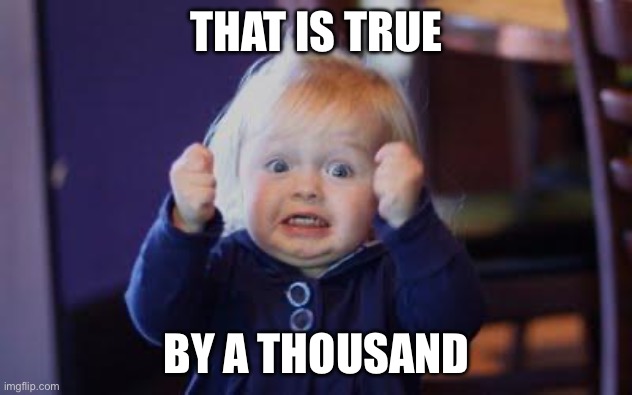 excited kid | THAT IS TRUE BY A THOUSAND | image tagged in excited kid | made w/ Imgflip meme maker
