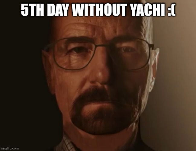 Saul Goodman but it’s Walter white | 5TH DAY WITHOUT YACHI :( | image tagged in saul goodman but it s walter white | made w/ Imgflip meme maker