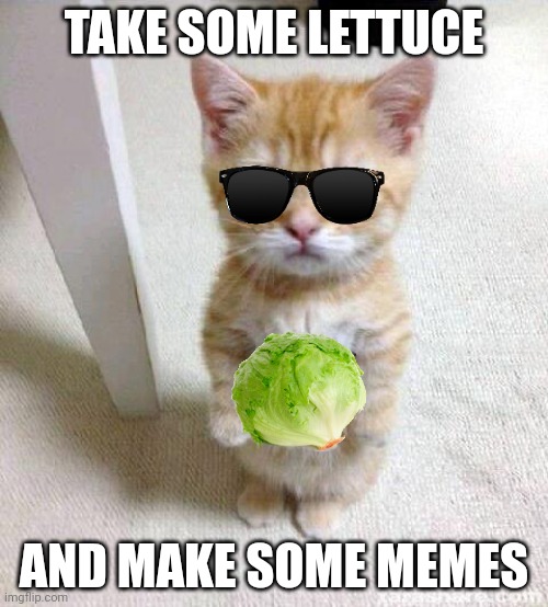 Take it |  TAKE SOME LETTUCE; AND MAKE SOME MEMES | image tagged in memes,cute cat | made w/ Imgflip meme maker