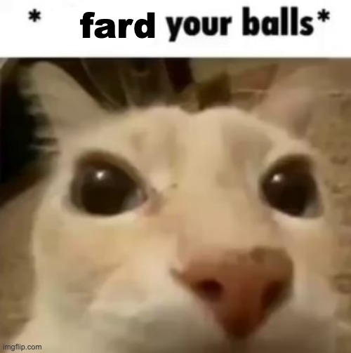 X your balls | fard | image tagged in x your balls | made w/ Imgflip meme maker
