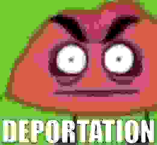 When I see a furry | image tagged in deportation,anti furry | made w/ Imgflip meme maker