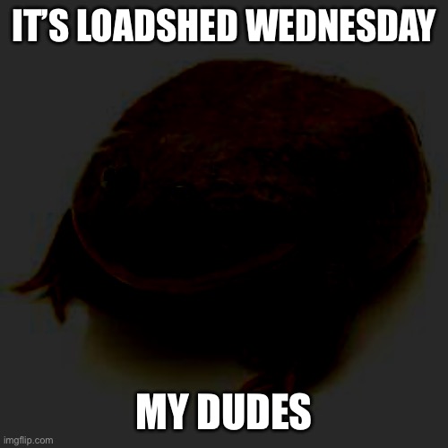 It’s load shed Wednesday, my dudes | IT’S LOADSHED WEDNESDAY; MY DUDES | image tagged in it is wednesday my dudes | made w/ Imgflip meme maker