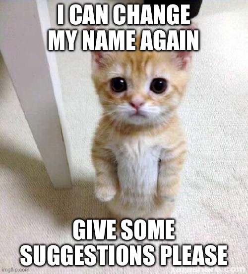 it has to have barf in it | I CAN CHANGE MY NAME AGAIN; GIVE SOME SUGGESTIONS PLEASE | image tagged in memes,cute cat | made w/ Imgflip meme maker