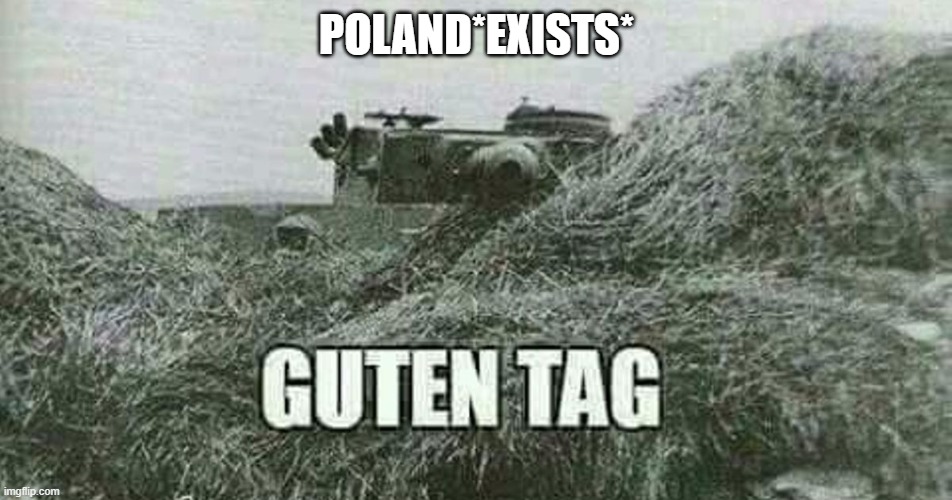 German guten tag tiger | POLAND*EXISTS* | image tagged in german guten tag tiger | made w/ Imgflip meme maker