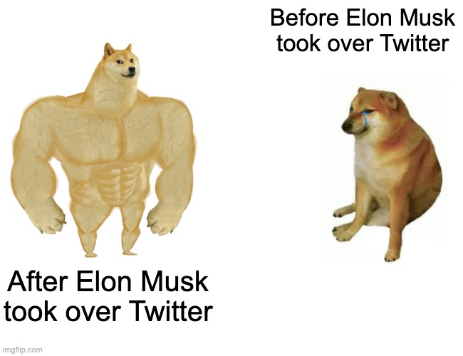 Dodge Meme | Before Elon Musk took over Twitter; After Elon Musk took over Twitter | image tagged in memes,buff doge vs cheems | made w/ Imgflip meme maker