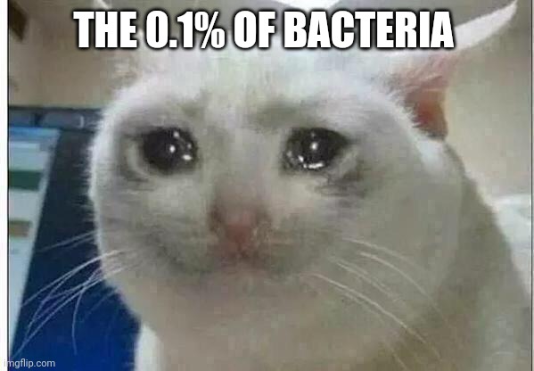 crying cat | THE 0.1% OF BACTERIA | image tagged in crying cat | made w/ Imgflip meme maker