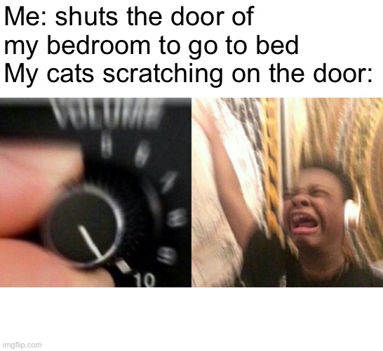 I legit stack baby gates to stop them lol | Me: shuts the door of my bedroom to go to bed
My cats scratching on the door: | image tagged in loud music,cats,sleep,annoying | made w/ Imgflip meme maker