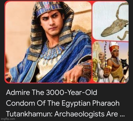 THE WHAT- | made w/ Imgflip meme maker