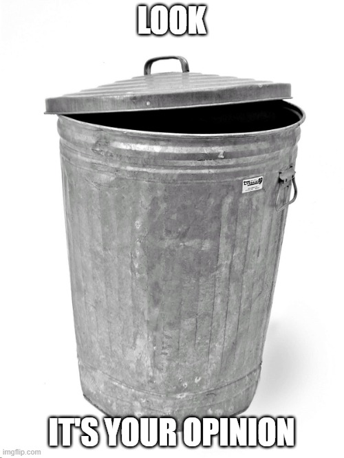 Trash Can | LOOK IT'S YOUR OPINION | image tagged in trash can | made w/ Imgflip meme maker