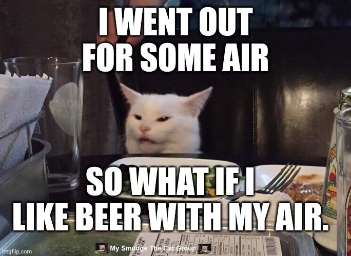 I WENT OUT FOR SOME AIR; SO WHAT IF I LIKE BEER WITH MY AIR. | image tagged in smudge the cat | made w/ Imgflip meme maker