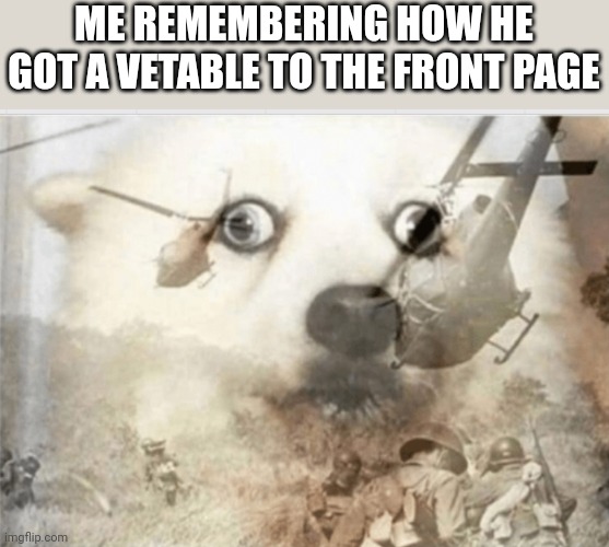 PTSD dog | ME REMEMBERING HOW HE GOT A VETABLE TO THE FRONT PAGE | image tagged in ptsd dog | made w/ Imgflip meme maker