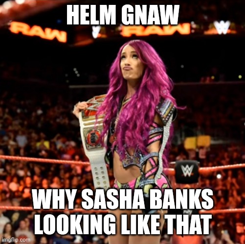 HELM GNAW; WHY SASHA BANKS LOOKING LIKE THAT | made w/ Imgflip meme maker