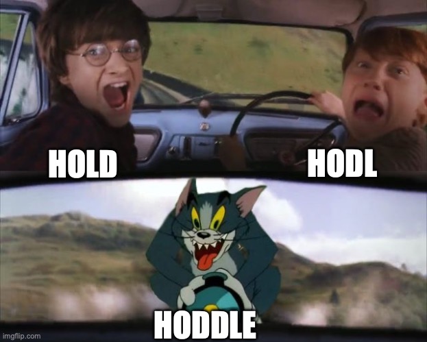 Tom chasing Harry and Ron Weasly | HOLD HODL HODDLE | image tagged in tom chasing harry and ron weasly | made w/ Imgflip meme maker